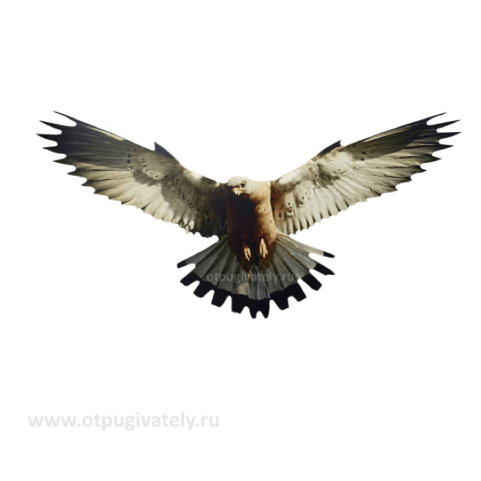Хищник-4 визуальный отпугиватель птиц фото