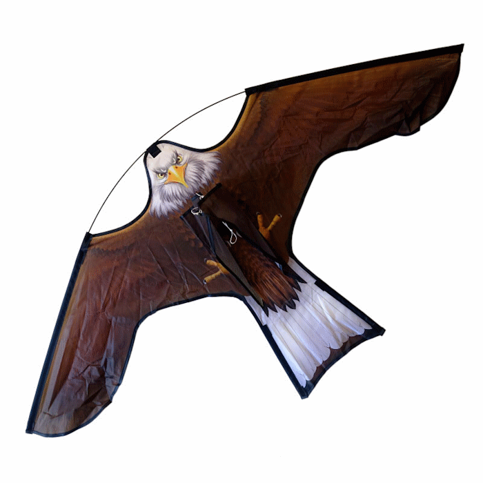 Отпугиватель птиц Орлан белохвост фото
