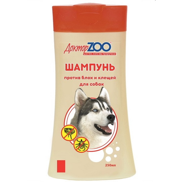 Шампунь «ДокторZOO» для собак от блох и клещей фото